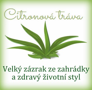 citronovatrava.cz.jpg